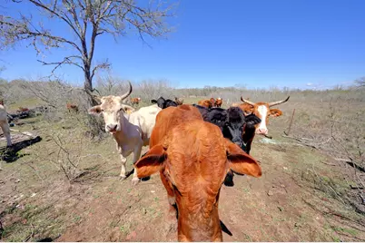 000 Fm 2814, Waelder, TX 78959 - Photo 9