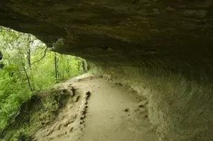 6516 Kauai Ln, Austin, TX 78744 - Photo 37