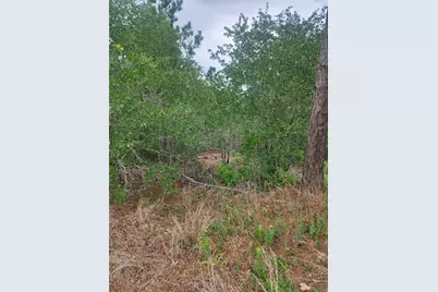 Lot 70 Lakeside Drive, Bastrop, TX 78602 - Photo 3