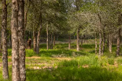 4082 Old Colony Line Road, Lockhart, TX 78644 - Photo 19