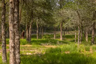 4082 Old Colony Line Rd, Lockhart, TX 78643 - Photo 19