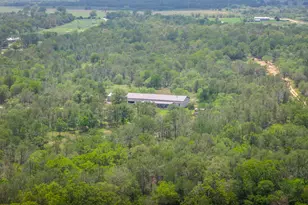 4082 Old Colony Line Rd, Lockhart, TX 78643 - Photo 33
