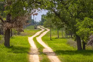 4082 Old Colony Line Rd, Lockhart, TX 78643 - Photo 31