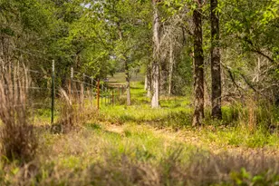 4082 Old Colony Line Rd, Lockhart, TX 78643 - Photo 21