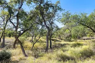 Lot 18 Mesa Ranch Rd, Dripping Springs, TX 78620 - Photo 1