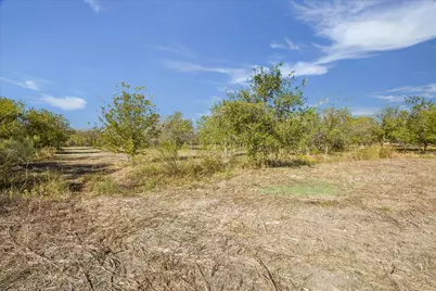10719 San Jose Avenue, Del Valle, TX 78617 - Photo 5