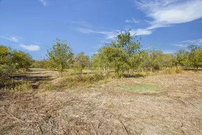 10719 San Jose Avenue, Del Valle, TX 78617 - Photo 5