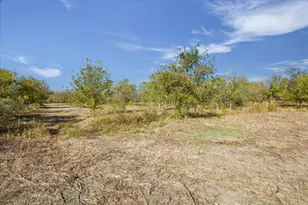 10719 San Jose Ave, Del Valle, TX 78617 - Photo 5