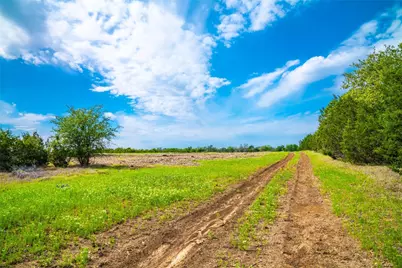 Tbd Tracts 5 and 6 Cr 251, Georgetown, TX 78633 - Photo 11
