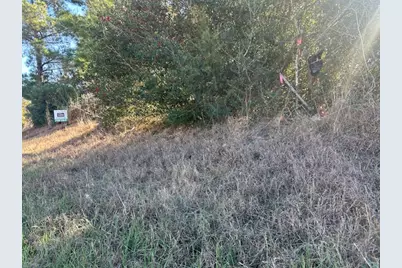 Tbd Fm 141, Dime Box, TX 77853 - Photo 5