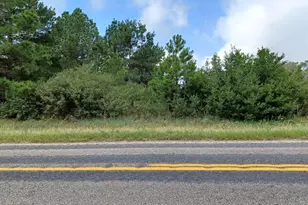 Tbd Fm 141, Dime Box, TX 77853 - Photo 1
