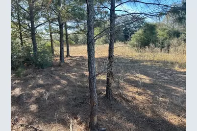 Tbd Fm 141, Dime Box, TX 77853 - Photo 3