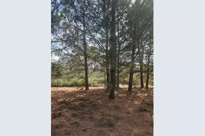 123 Koali Drive, Bastrop, TX 78602 - Photo 3