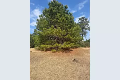 123 Koali Drive, Bastrop, TX 78602 - Photo 3