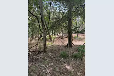 Lot 908 Kahana Lane, Bastrop, TX 78602 - Photo 7