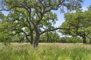 997 Sandy Oaks Ranch Rd, Johnson City, TX 78636 - Photo 1