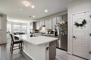 104 Peach Flt Ct, Liberty Hill, TX 78642 - Photo 9