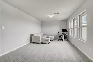 13117 Alamito Crk Trl, Manor, TX 78653 - Photo 19