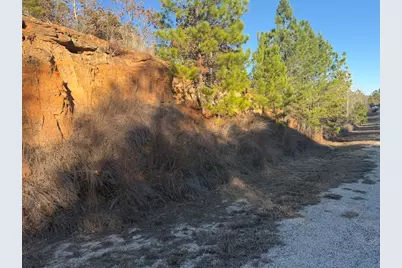 Lot 182 Keo Kea Court, Bastrop, TX 78602 - Photo 7