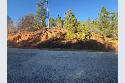 Lot 182 Keo Kea Court, Bastrop, TX 78602 - Photo 11