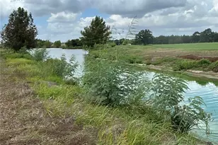 000 Old Potato Rd, Paige, TX 78659 - Photo 1