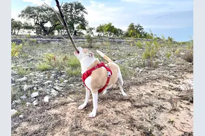 15600 Cedar Ledge Street, Austin, TX 78734 - Photo 9