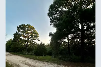 Tbd Private Road 4361, Dime Box, TX 77853 - Photo 7