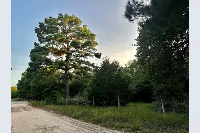 Tbd Private Road 4361, Dime Box, TX 77853 - Photo 5