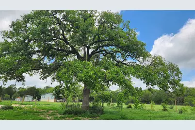 155 Arbuckle Road, Elgin, TX 78621 - Photo 35