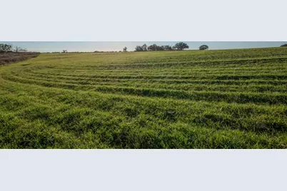 8498 County Road 121 Road, San Saba, TX 76877 - Photo 11