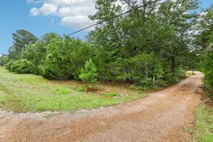 267 Corral Rd, Smithville, TX 78957 - Photo 11