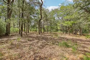 267 Corral Rd, Smithville, TX 78957 - Photo 39