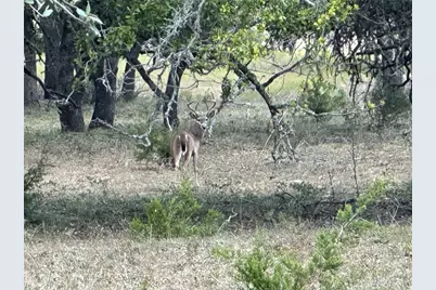 1058 Jacob Road, Fredericksburg, TX 78624 - Photo 7