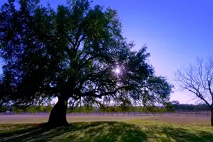 1115 Co Rd 414, Spicewood, TX 78669 - Photo 31