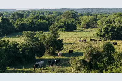 0 Straws Mill Road, Gatesville, TX 76528 - Photo 27
