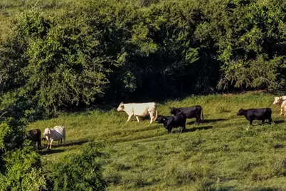 0 Straws Mill Road, Gatesville, TX 76528 - Photo 33