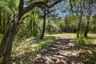 810 Crestone Stream Dr, Austin, TX 78738 - Photo 29