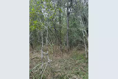 Lots 451, 452, 453 Heleakala Drive, Bastrop, TX 78602 - Photo 17