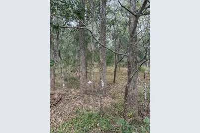 Lots 451, 452, 453 Heleakala Drive, Bastrop, TX 78602 - Photo 19