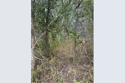 Lots 451, 452, 453 Heleakala Drive, Bastrop, TX 78602 - Photo 3