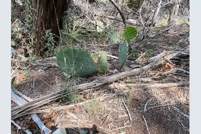 20902 Stone Cliff Drive, Lago Vista, TX 78645 - Photo 11