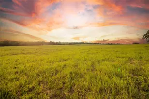 862 Dowdy Rd, Seguin, TX 78155 - Photo 15