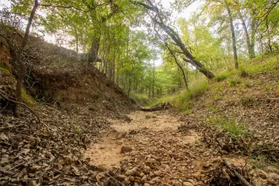 862 Dowdy Road, Seguin, TX 78155 - Photo 9