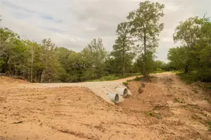 862 Dowdy Rd, Seguin, TX 78155 - Photo 3