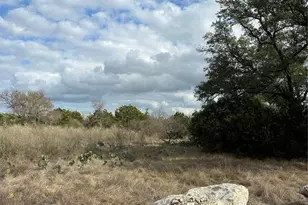 409 Spicewood Trails Dr, Spicewood, TX 78669 - Photo 11