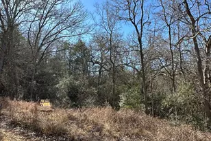 Tbd Bali Hai Ln, Bastrop, TX 78602 - Photo 1