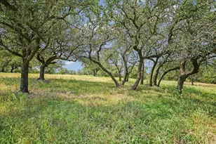 11790 E Fm 1431 Hwy, Marble Falls, TX 78654 - Photo 25