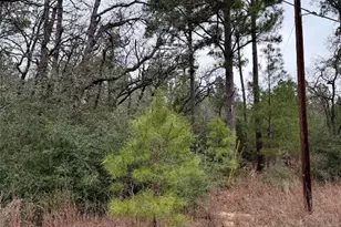 000 Makaha Dr, Bastrop, TX 78602 - Photo 1