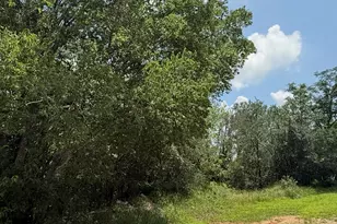 135 Jackson St, Elgin, TX 78621 - Photo 1