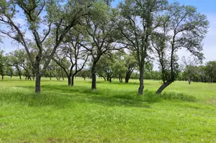 1241 Sandy Oaks Ranch Rd, Johnson City, TX 78636 - Photo 13